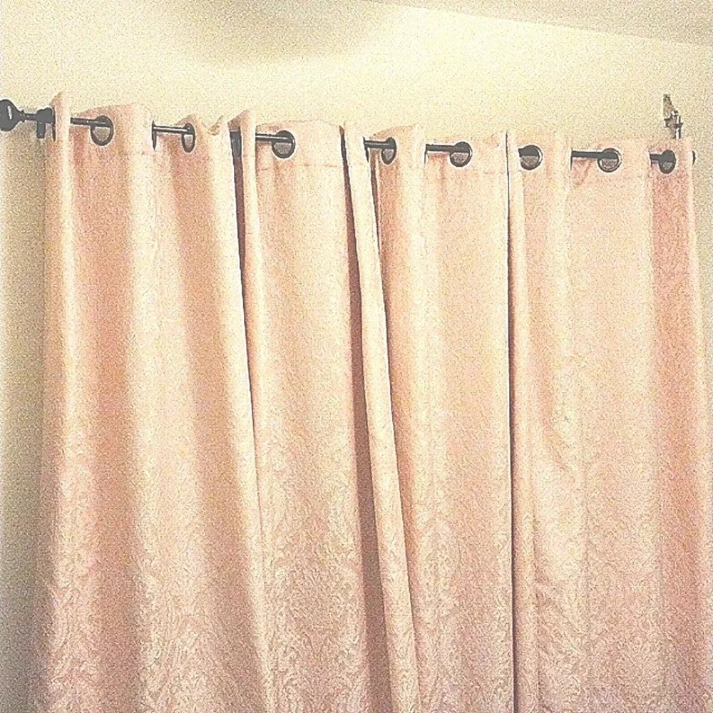 2 Drapery PANELS Brocade Baroque Curtain Soft Pink Shimmer Silver Grommet Modern